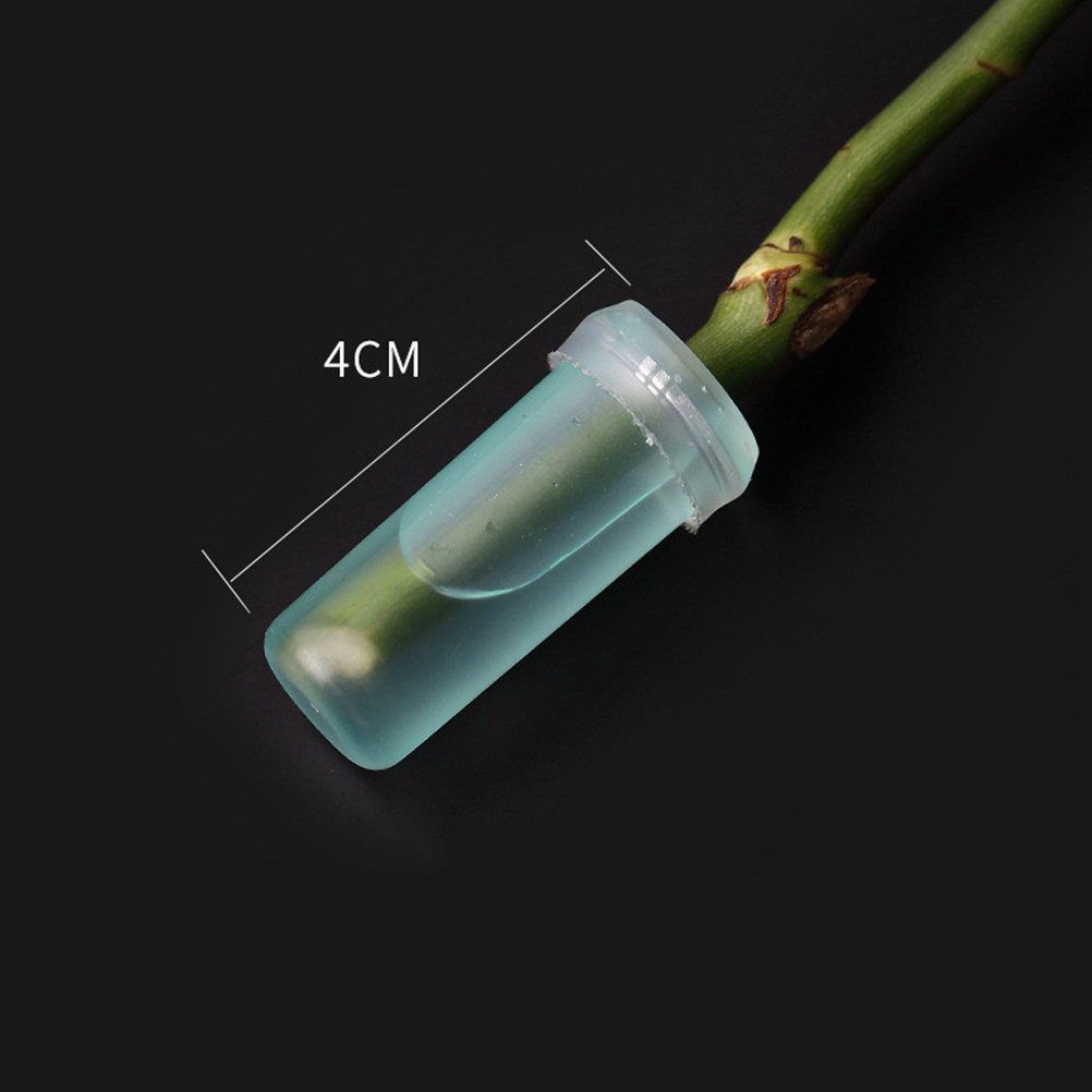 20Pcs Floral Water Tubes Fresh - Florist Supply Shop ulasan dan harga